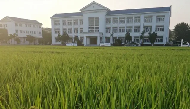 农产品加工中农资供应的适用情况与限制