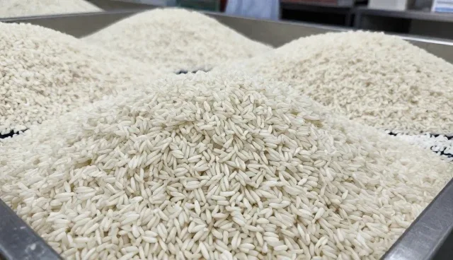 稻米加工中水分控制的误区与正确判断